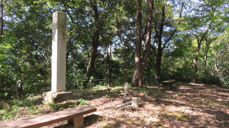 鷺山城跡の歴史