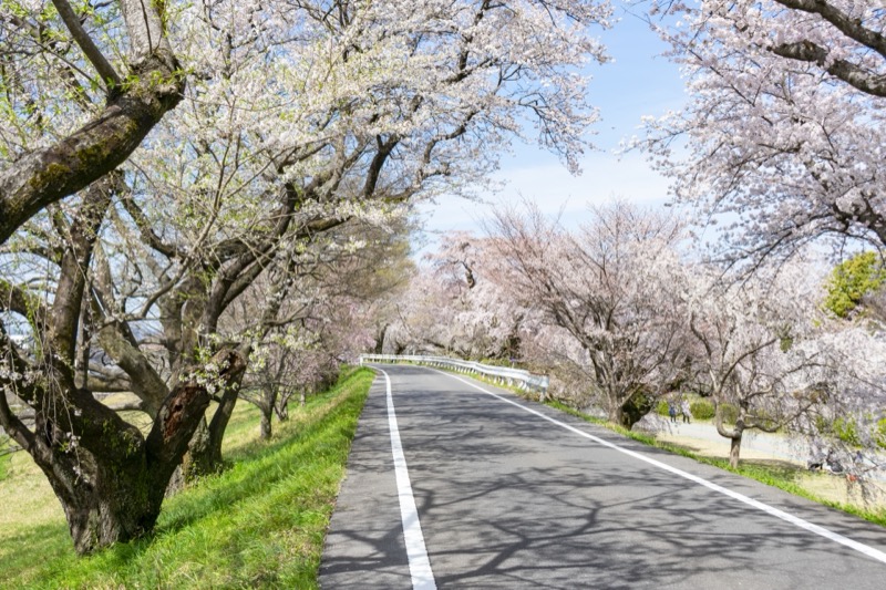 国営木曽三川公園