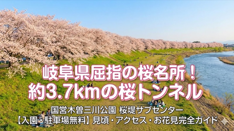 岐阜県の桜の名所