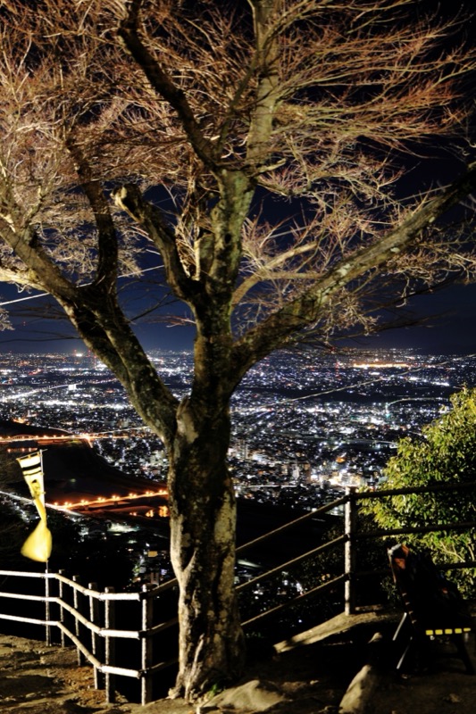 金華山からの夜景