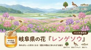 岐阜の花レンゲソウ